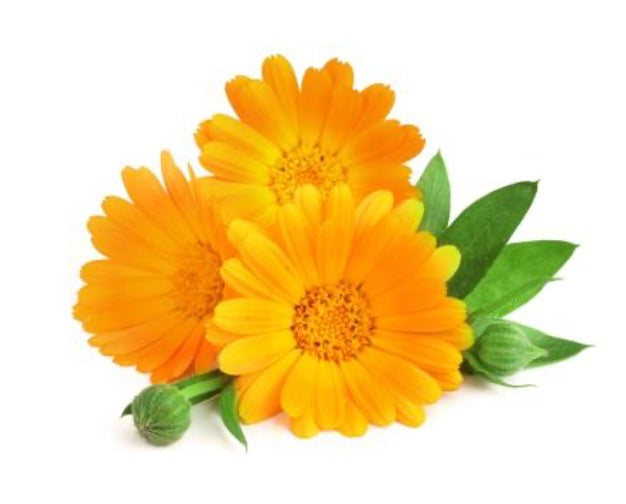 Moisturizing Cream Tetrapeptide