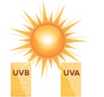 SPF50+ Very High Protection Face Fluid Cream Age Repair
