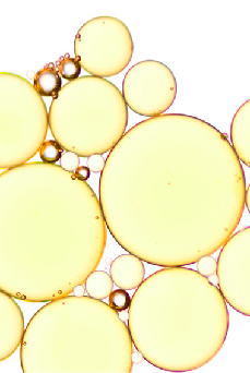 EXOCOLLAGEN Booster Serum